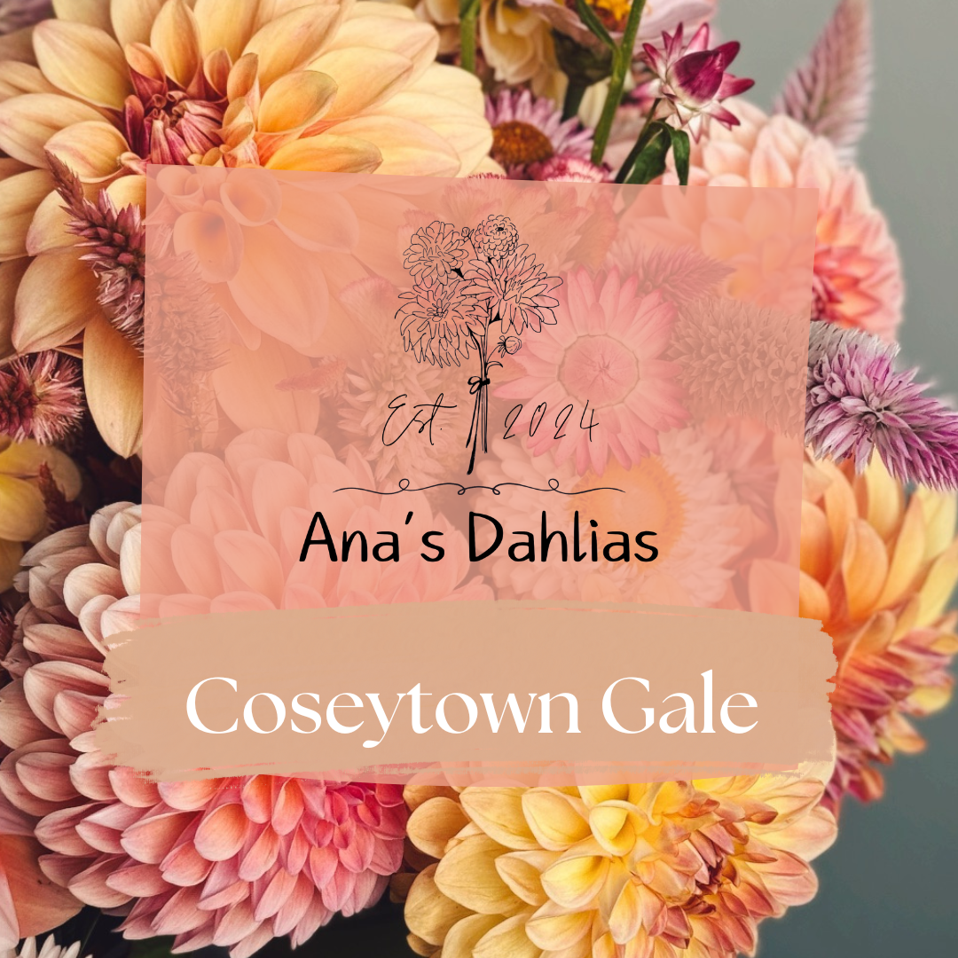 Coseytown Gale
