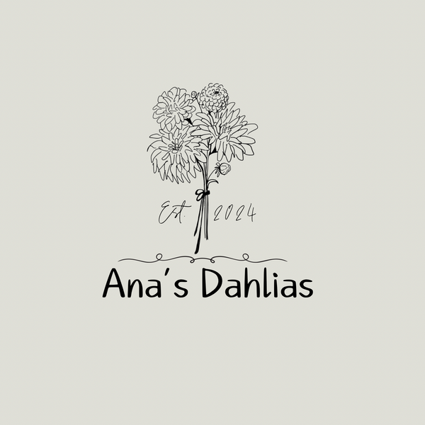 Ana’s Dahlias