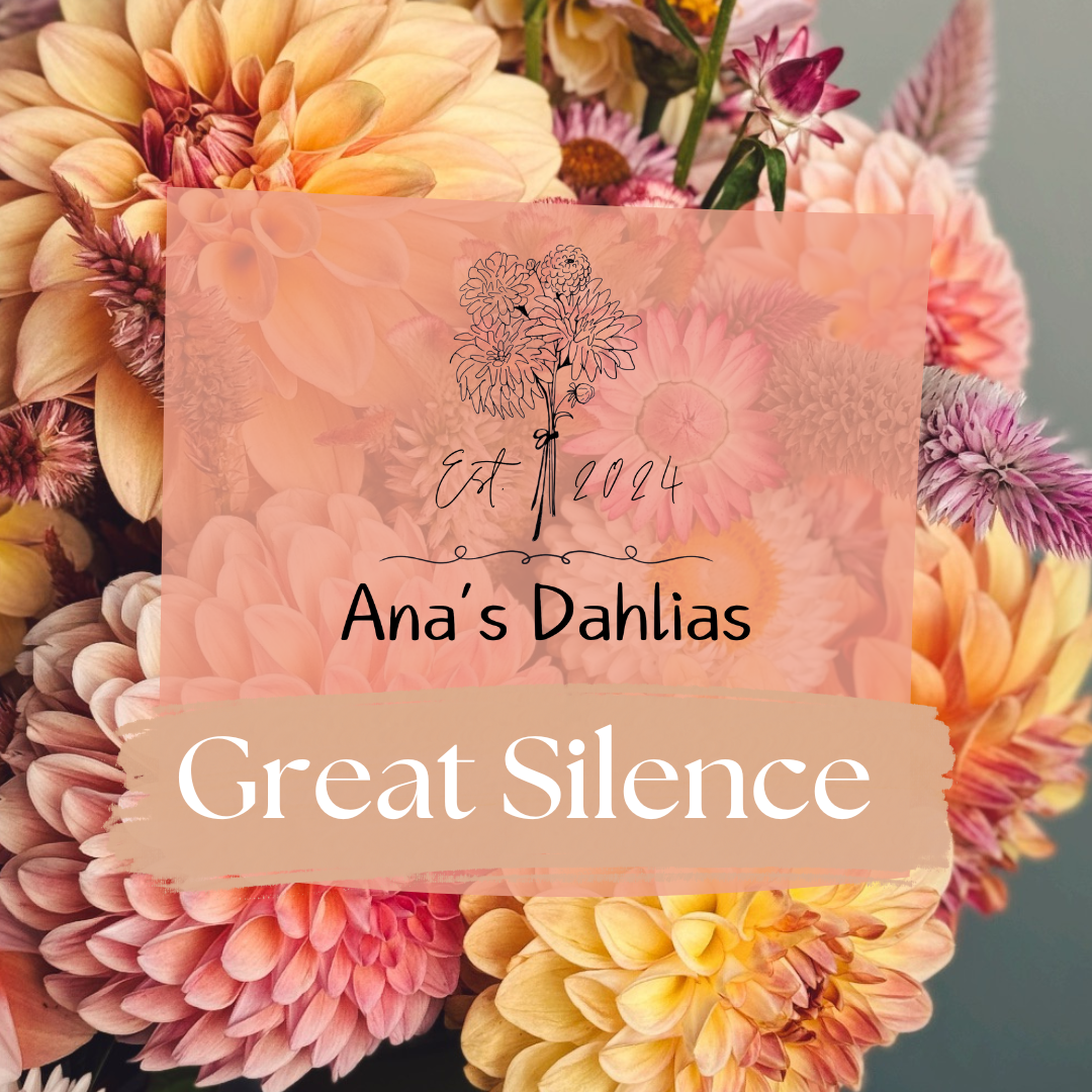 Great Silence