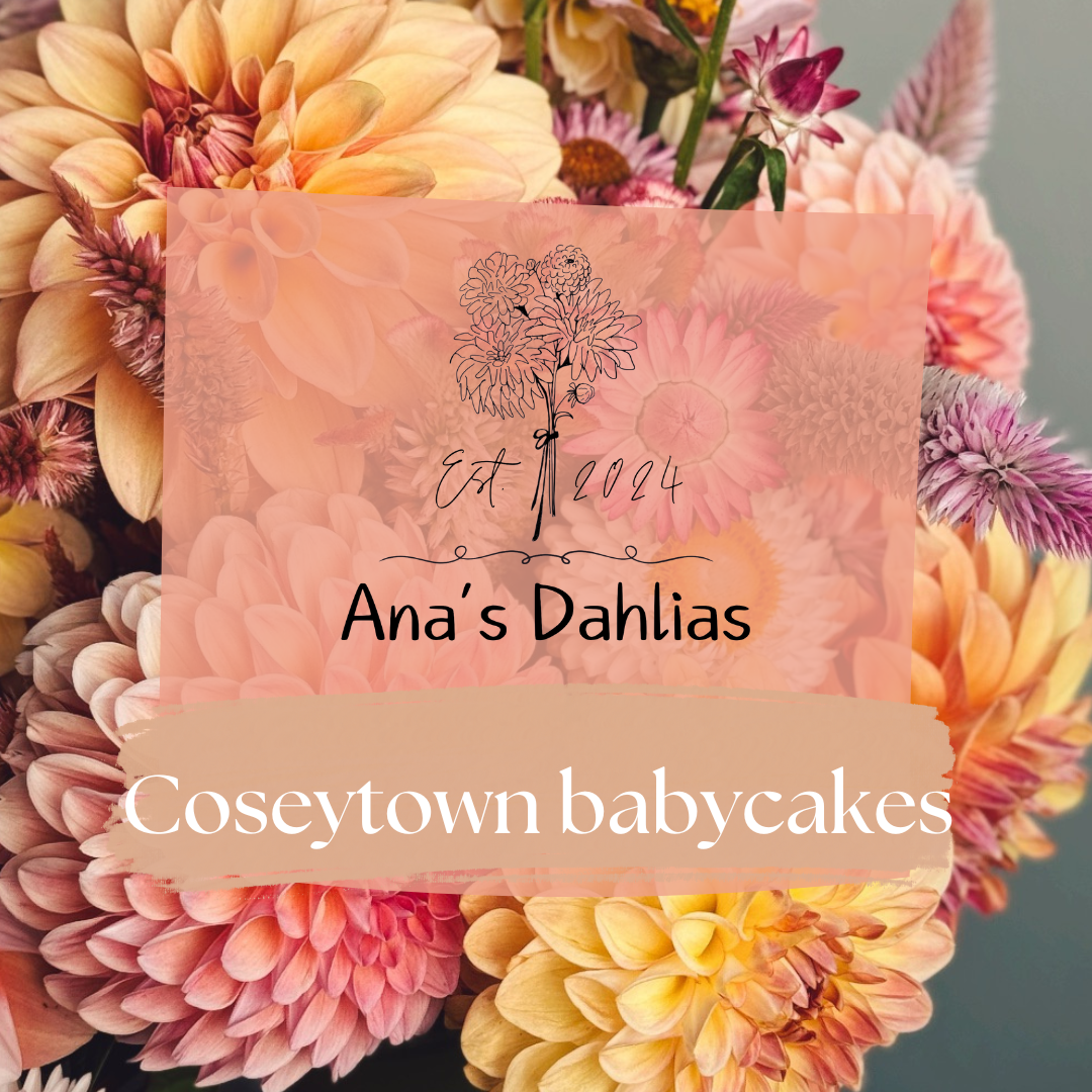 Coseytown babycakes